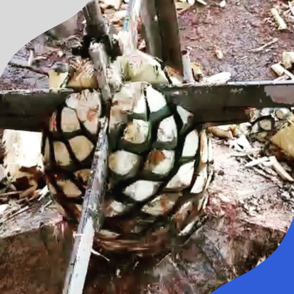tequila ceromaya (1)