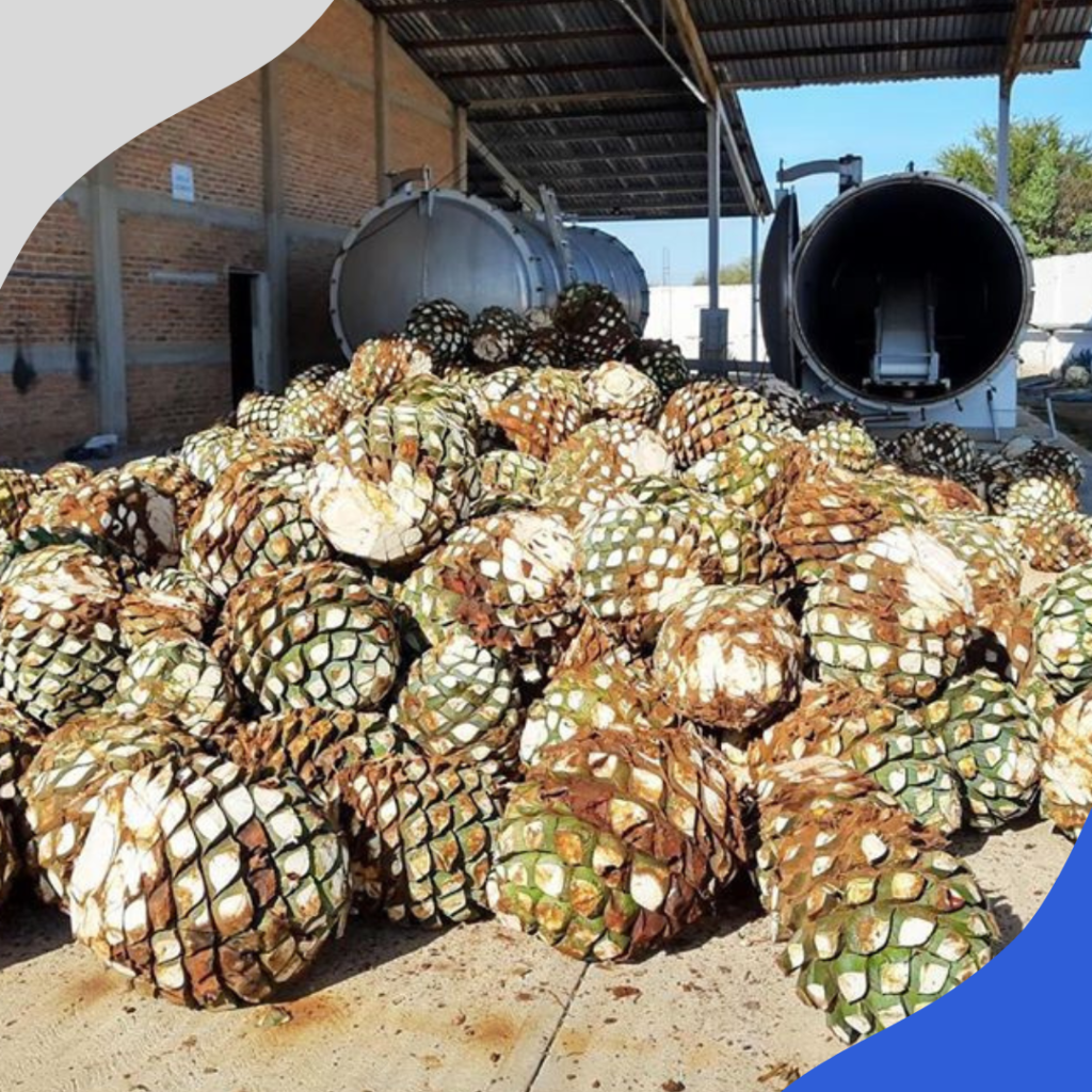 tequila ceromaya (2)